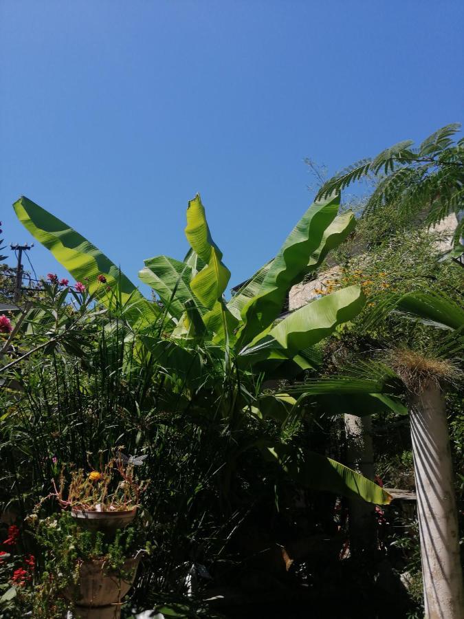 Magnoliia Hotel Sukhumi Luaran gambar