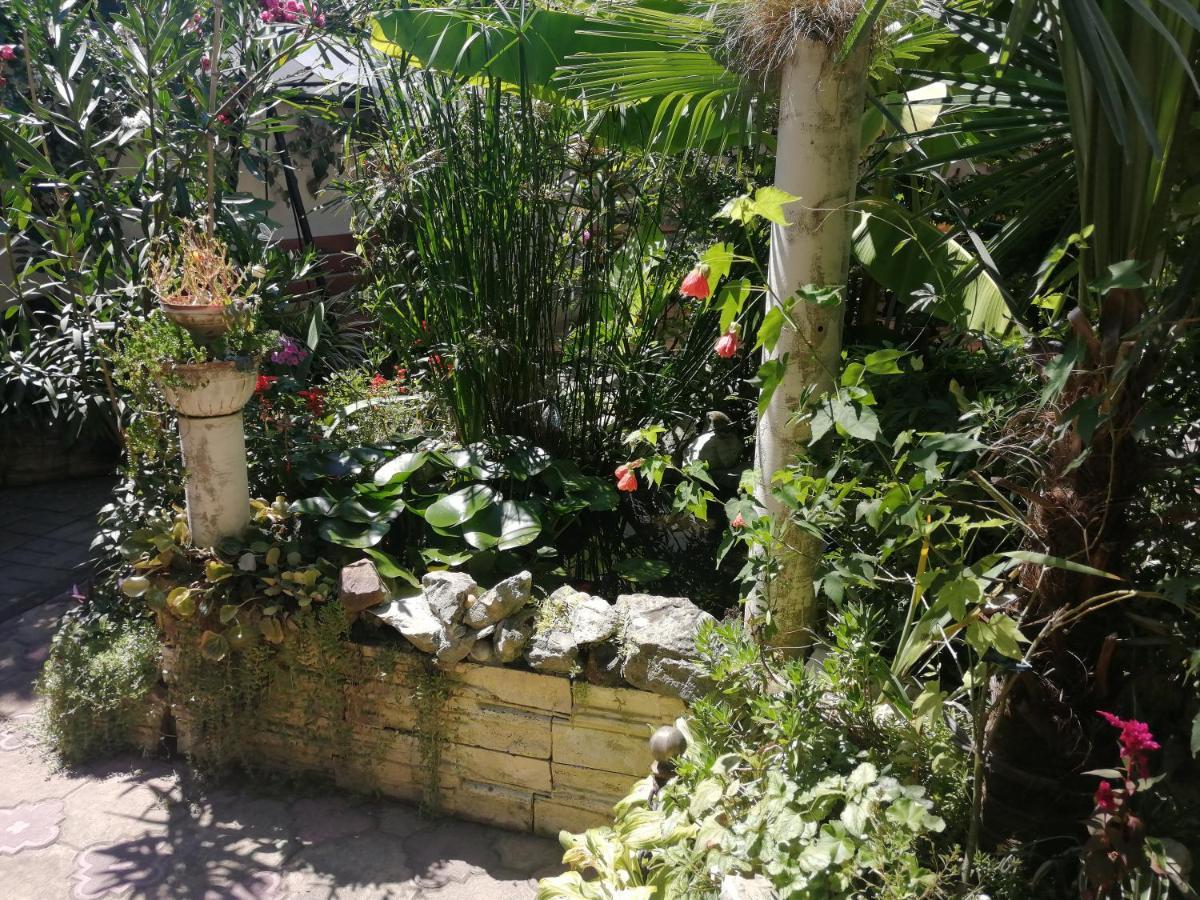 Magnoliia Hotel Sukhumi Luaran gambar