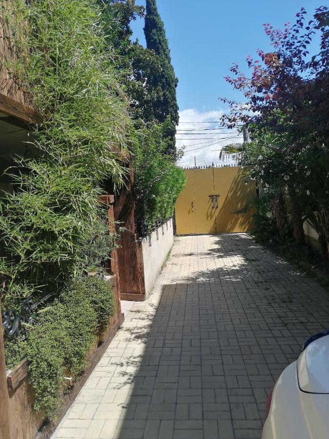 Magnoliia Hotel Sukhumi Luaran gambar