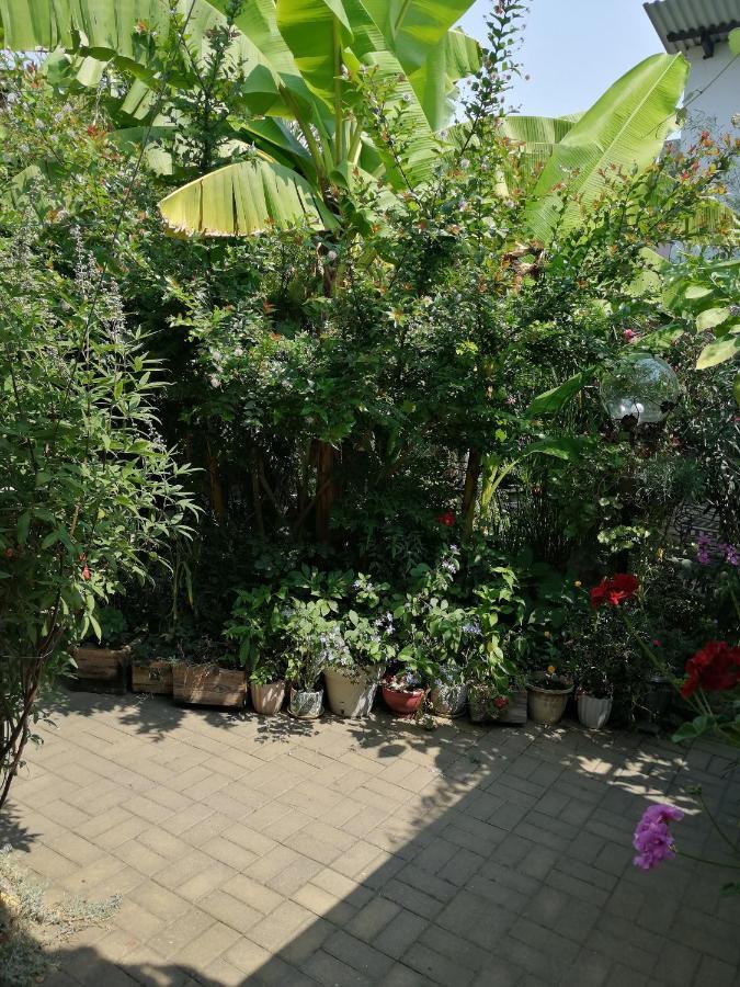 Magnoliia Hotel Sukhumi Luaran gambar